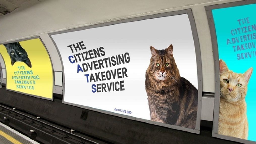 Ad group launches Kickstarter to cover DC Metro station in cats. (Kickstarter)