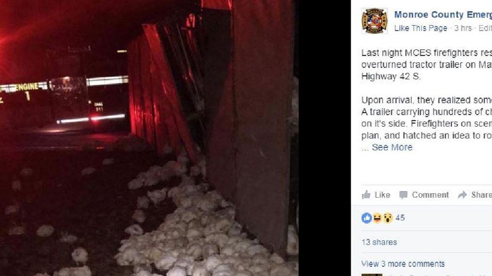 Monroe County Emergency Services posted to Facebook Tuesday morning that a truck carrying chickens overturned on Maynard's Mill road in Forsyth Monday night / Monroe County Emergency Services (Facebook)