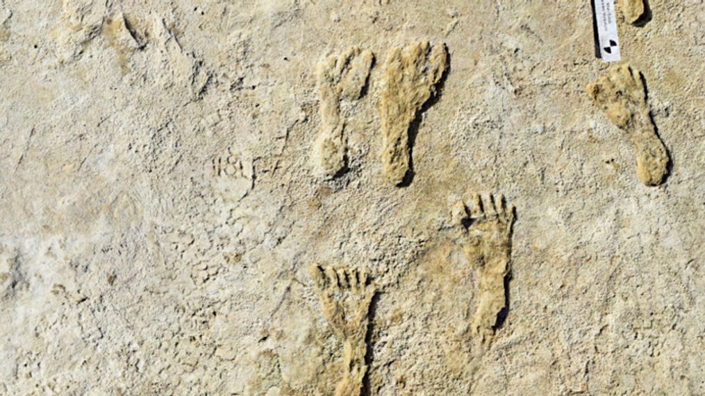 FILE - This undated photo made available by the National Park Service in September 2021 shows fossilized human fossilized footprints at the White Sands National Park in New Mexico. (NPS via AP)