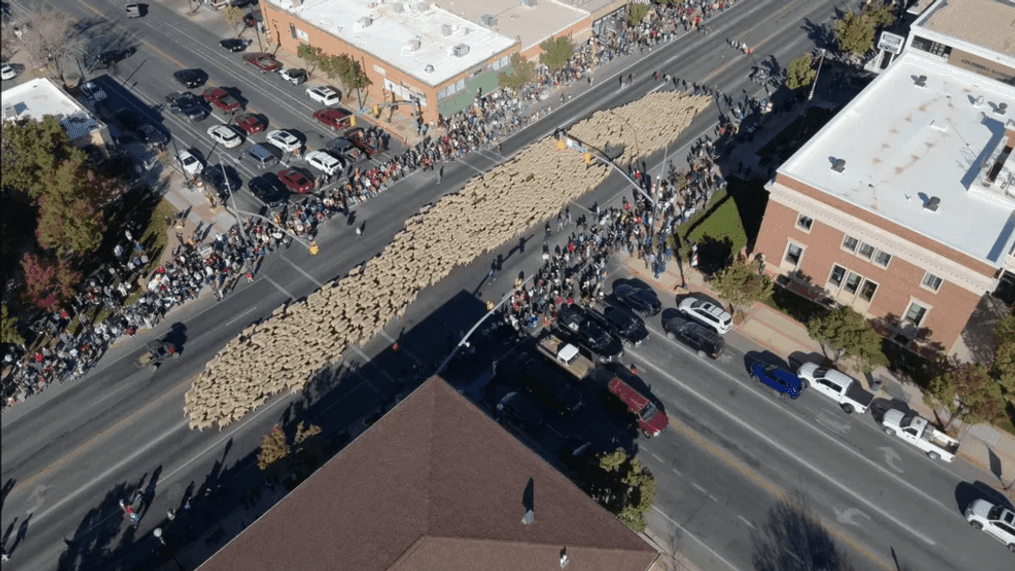 Annual Cedar City Heritage Sheep Parade on Oct. 28, 2023. (Photo: Cedar City Police Department)