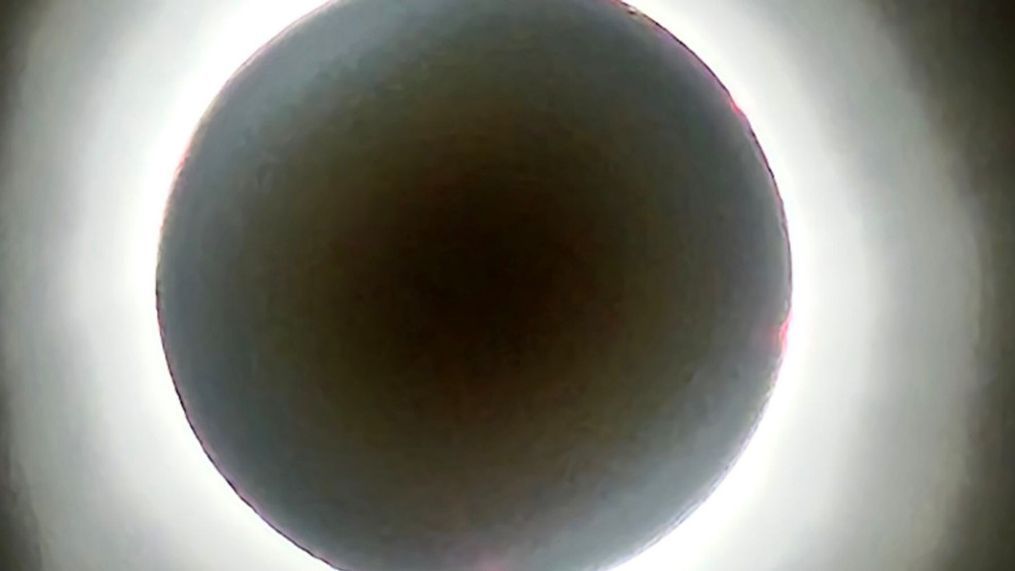 Utahn Jeffrey  Bateman traveled from West Jordan, Utah, to Llano, Texas, to capture this image of the solar eclipse on April 8, 2024, at the point of totality.{&nbsp;} (Via kutv.com/chimein)