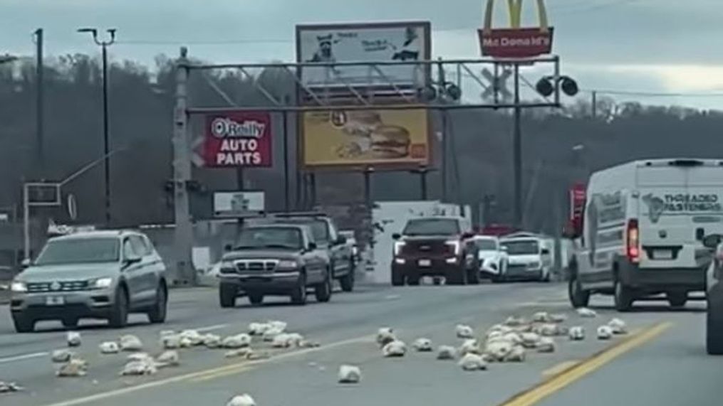 Poultry pile-up caught on video: Dozens of chickens spill onto Chattanooga street (Image taken from video by Jessica White){&nbsp;}