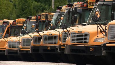 Image for story: VIDEO: Utah school buses synced up to Nutcracker's 'Dance of the Sugar Plum Fairy' 