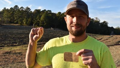 Image for story: Arkansas man finds 4.49-carat diamond at Crater of Diamonds State Park