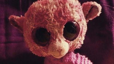 Image for story: Woman posts photo of daughter&rsquo;s missing plush toy, prompts online support