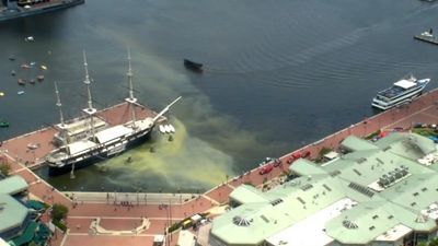 Image for story: "Discolored water" leaking into Baltimore's Inner Harbor