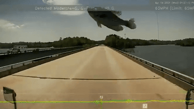 Image for story: Video: Bird drops fish onto truck driver's windshield while driving in North Carolina