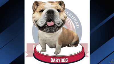 Image for story: Babydog bobbleheads unveiled after Republican National Convention appearance