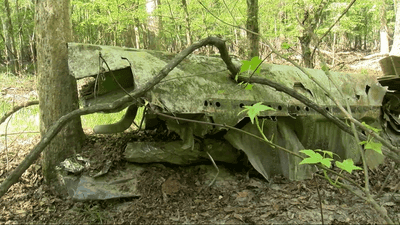 Image for story: Swallowed by the swamp: 1950s military plane crash part of SC forest's history