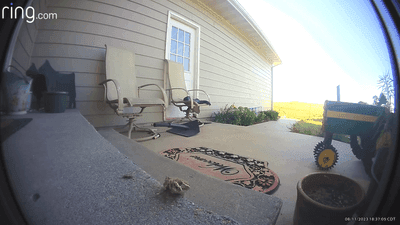 Image for story: Delivery man hailed a hero after removing rattlesnake from family's porch