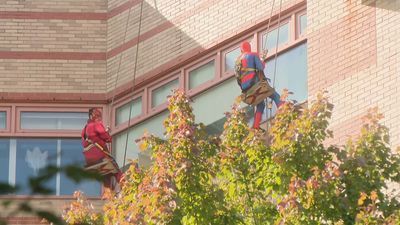 Image for story: Superheroes clean windows at children's hospital in Rhode Island