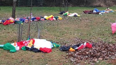 Image for story: Va. couple keeping spirit alive after Grinch tried to deflate Christmas