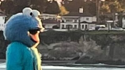 Image for story: Guy named Adam Sandler, dressed as 'Cookie Monster,' prompts warning from city