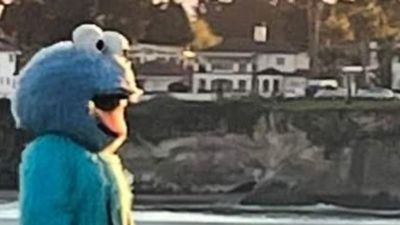 Image for story: Guy named Adam Sandler, dressed as 'Cookie Monster,' prompts warning from city