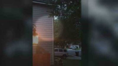 Image for story: San Antonio woman discovers bat colony inside her home