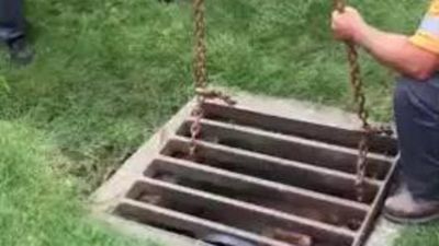 Image for story:  City officials rescue dog stuck under grate in Ohio