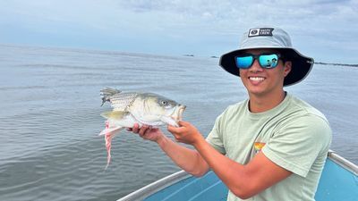 Image for story: 'Unexpected visitor' chomps off most of fisherman's catch in one bite