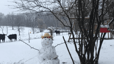 Image for story: PHOTO GALLERY: mid-Missouri wakes up to snowy landscape