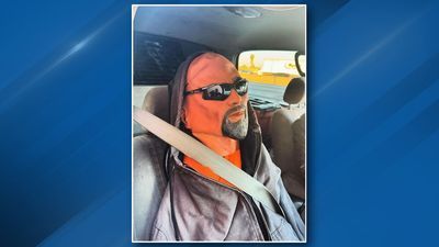 Image for story: Driver receives citation after using realistic looking dummy to drive in carpool lane 