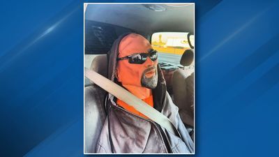 Image for story: Driver receives citation after using realistic looking dummy to drive in carpool lane 