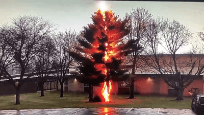 Image for story: Lightning strike shatters tree at northeast Wisconsin high school | VIDEO