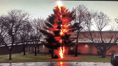 Image for story: Lightning strike shatters tree at northeast Wisconsin high school | VIDEO