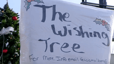 Image for story: "Wishing Tree" group offers help to those in need in Cass County