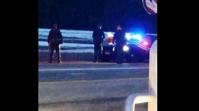 Image for story: Not your average traffic stop: Elk pulled over in north Idaho 