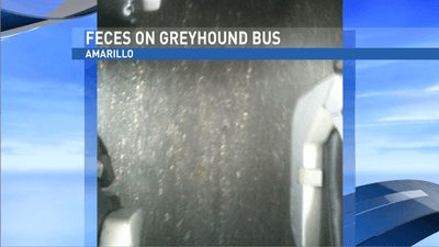 Image for story: Passengers disgusted by overflowing toilet on Greyhound bus