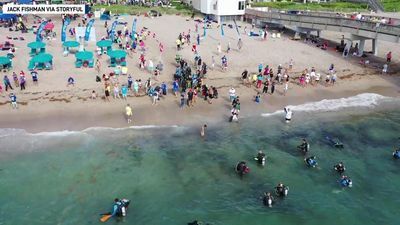 Image for story: Divers set world record for underwater cleanup at Florida beach