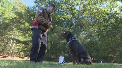 Image for story: Retired RI state trooper hopes to change dog from rescue to rescuer