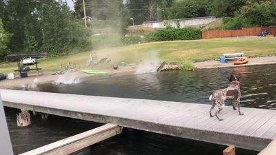 Image for story: WATCH: 'Just crazy!' -- Dust devil wreaks havoc along Seattle area shoreline