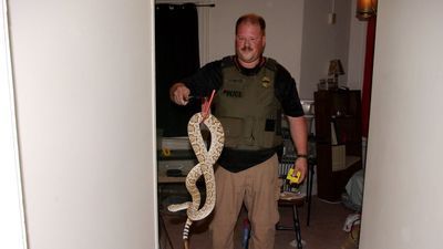 Image for story: 'Venom Man' charged with owning & abusing venomous snakes