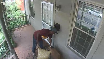 Image for story: Police hunting for porch pirate who stole $2,700 wedding dress, neighbors on alert 