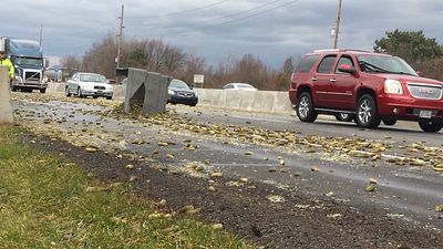 Image for story: Truck crash spills load of pickles on Ohio highway, creating big 'dill' for drivers