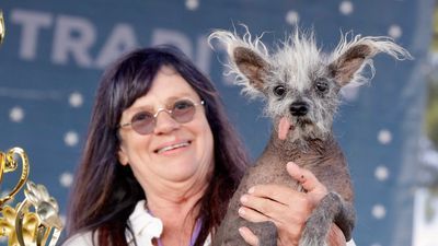 Image for story: Scooter scoots to victory: Bald, reversed-legged pup crowned 'World's Ugliest Dog'