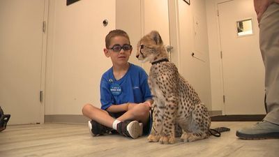 Image for story: Make-A-Wish grants 5-year-old boy's wish to be a Columbus Zookeeper