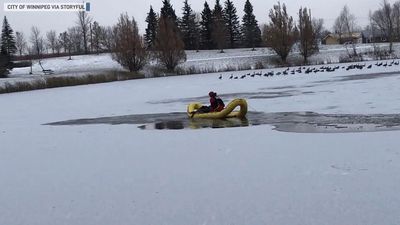 Image for story: Dog rescued after falling through ice 