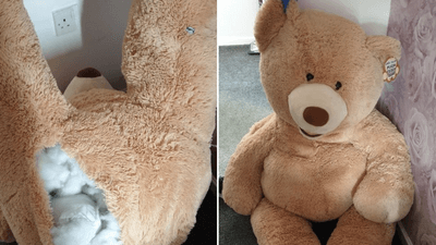 Image for story: Cops find car theft suspect hiding in stuffed animal after teddy bear spotted 'breathing'