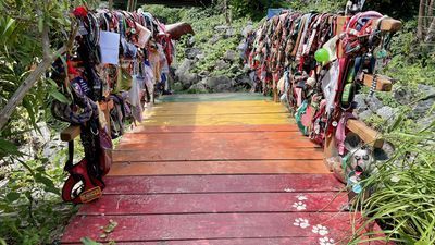 Image for story: Gone, but never forgotten: Rainbow Bridge helps keep memory of beloved companions alive