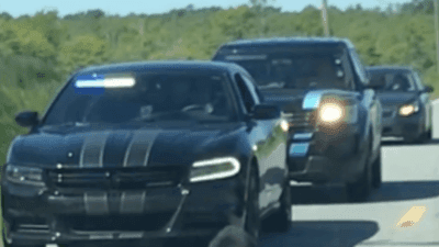 Image for story: Bear cub receives police escort after stopping traffic in North Carolina