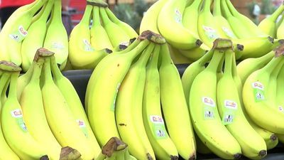 Image for story: Thanks a bunch for celebrating National Banana Day!