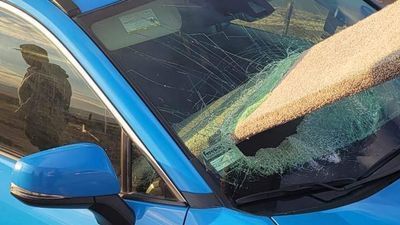 Image for story: PHOTOS: Plywood flies through driver's windshield