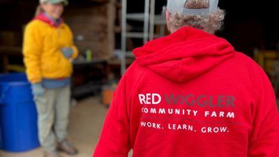 Image for story: 'Treated as equals': farm employing people with disabilities hopes to inspire change