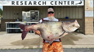 Image for story: Man reels in Oklahoma state record 118 pound bighead carp