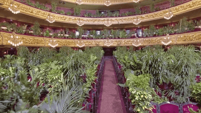 Image for story: Opera house reopens, holds concert for packed house ... of plants