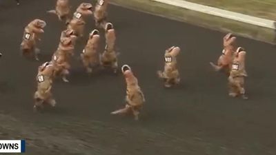 Image for story: WATCH: Epic T-Rex race