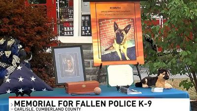 Image for story: K-9 Brutus honored at memorial service hosted by Cumberland County officials