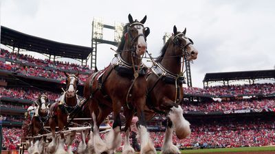 Image for story: Budweiser's Clydesdales set to make nostalgic Super Bowl comeback