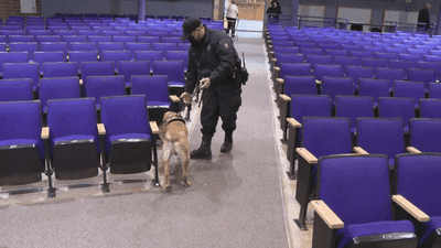 Image for story: Detector dogs are walking the halls of Massachusetts schools in search of COVID-19